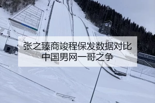 张之臻商竣程保发数据对比 中国男网一哥之争